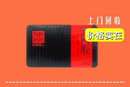 浦东新区回收阿胶
