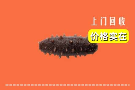 浦东新区回收海参