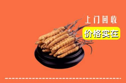 浦东新区回收冬虫夏草