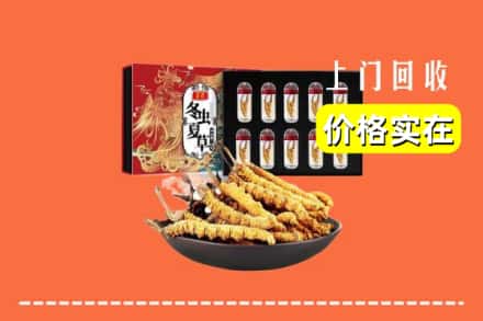 浦东新区回收虫草