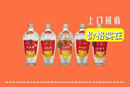 浦东新区回收老五粮液